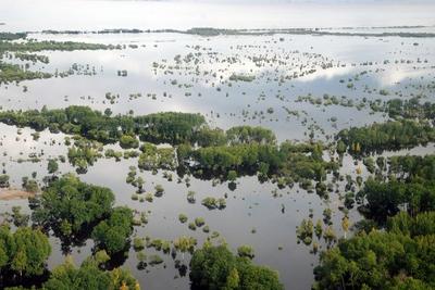 Изменение климата может привести к росту наводнений и пожаров на 30 %