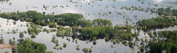 Изменение климата может привести к росту наводнений и пожаров на 30 %