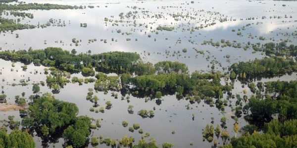 Изменение климата может привести к росту наводнений и пожаров на 30 %