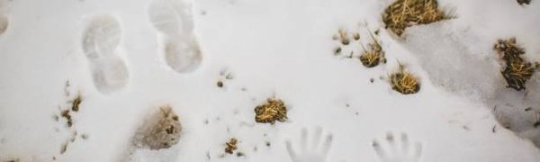 В Красноярске в преддверии зимней Универсиады растаял снег