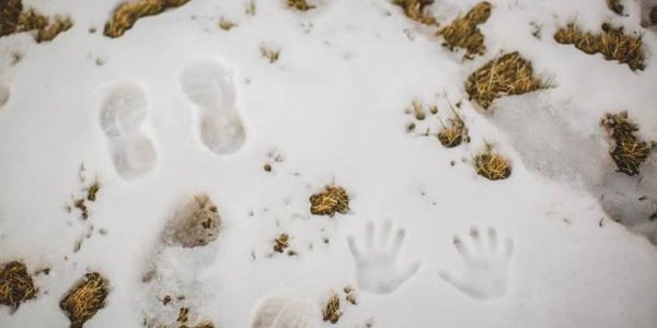 В Красноярске в преддверии зимней Универсиады растаял снег