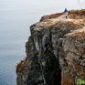 Любители походов отправятся завтра на остров Русский