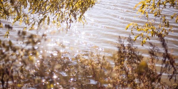 Сегодня Приморье находится в теплом секторе циклона