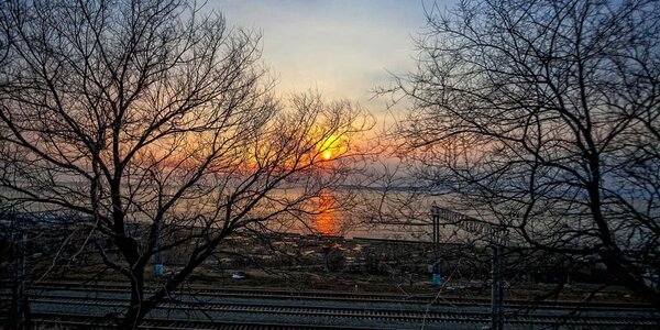 С похолодания начнется следующая неделя в Приморье