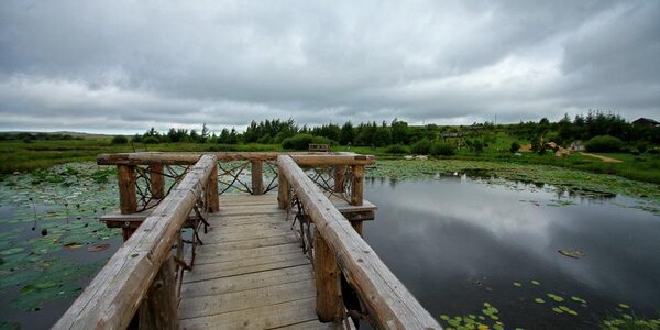 Погода в Приморье: ливни с грозами на континенте, туман с моросью на побережье