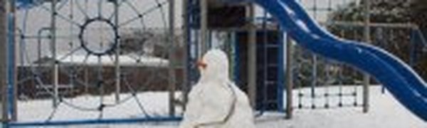 Небывалый снегопад обрушился на Новую Зеландию