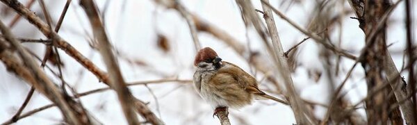 Похолодание вернется в Приморье на следующей неделе