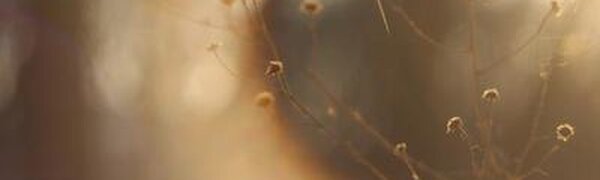 На выходных температура в Приморье превысила норму на 10 градусов