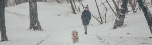Осадки в виде дождя, дождя со снегом и снега начнутся в Приморье ближайшей ночью