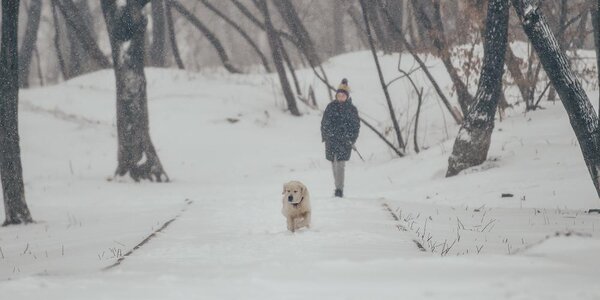 Осадки в виде дождя, дождя со снегом и снега начнутся в Приморье ближайшей ночью