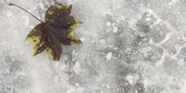 Приморье сковали морозы