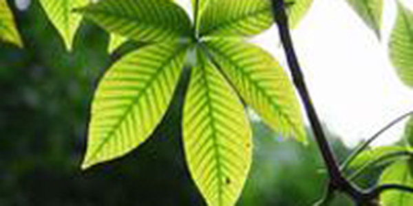 Жители Приморья ощутили первое дыхание осени