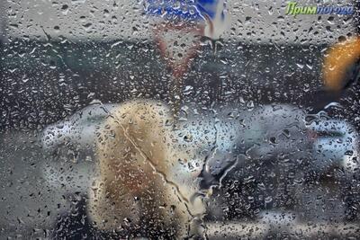 Дождливые выходные ожидаются в Приморье