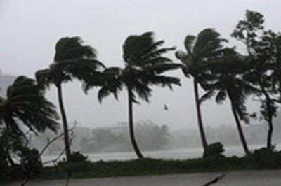Скорость ветра во время шторма в Калькутте превышала 100 км/ч