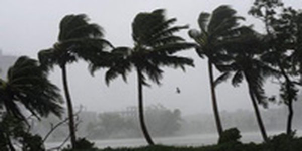 Скорость ветра во время шторма в Калькутте превышала 100 км/ч