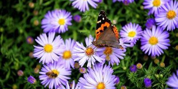 Первые дни осени в Приморье обещают быть солнечными