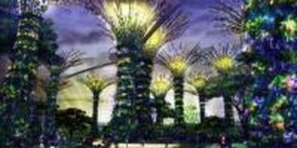 Самый большой сад будет построен в Сингапуре (ФОТО)