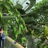 Самый большой сад будет построен в Сингапуре (ФОТО)