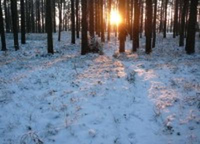 23 февраля во Владивостоке ожидается умеренно-морозная погода