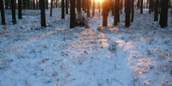 23 февраля во Владивостоке ожидается умеренно-морозная погода