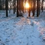 23 февраля во Владивостоке ожидается умеренно-морозная погода