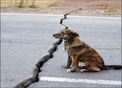 Мощное землетрясение произошло рядом с Владивостоком