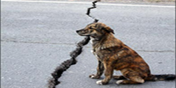 Мощное землетрясение произошло рядом с Владивостоком