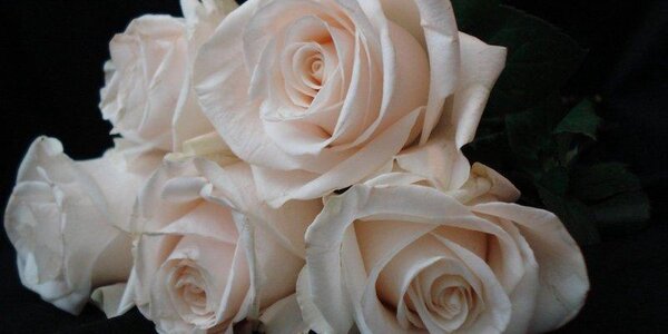 Традиция дарить букеты – язык цветов