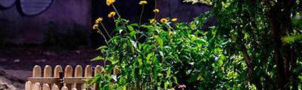 На выходных воздух в Приморье прогреется до +27°C