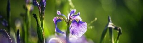 Переменчивая теплая погода ожидается в Приморье в начале следующей недели