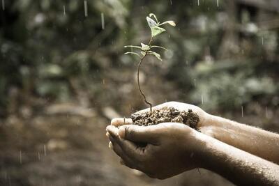 Жители 3 районов Приморья могут потерять урожай из-за переувлажнения почвы 