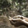 Жители 3 районов Приморья могут потерять урожай из-за переувлажнения почвы 