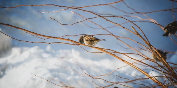 Аномальные холода не хотят покидать Приморье