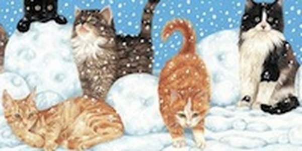 Почему коты зимой толстеют?