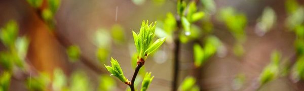 На следующей неделе погода в Приморье будет переменчивой