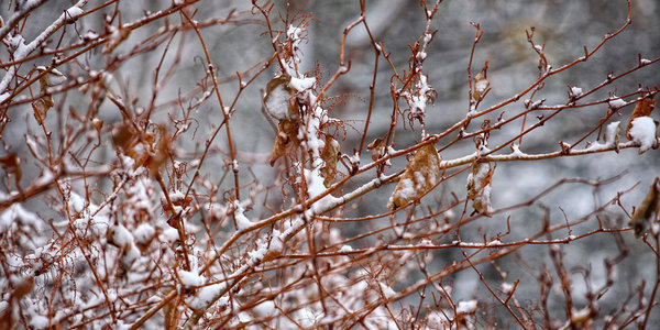 Вечером Приморье накроет очередной циклон