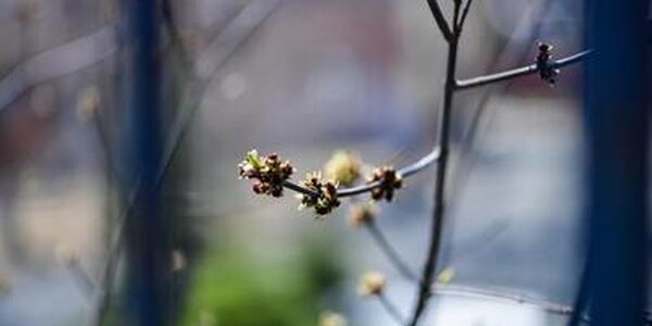 Синоптики рассказали о погоде на выходных в Приморье