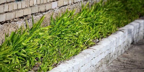 До +17°С прогреется воздух во Владивостоке во вторник