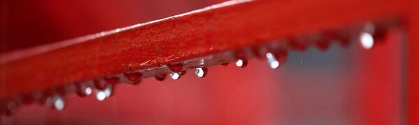 Прохладная и сырая погода активизирует коронавирус