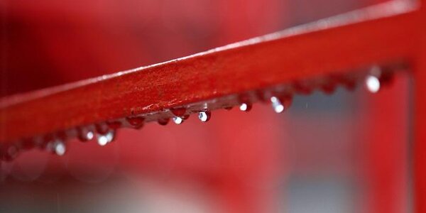 Прохладная и сырая погода активизирует коронавирус