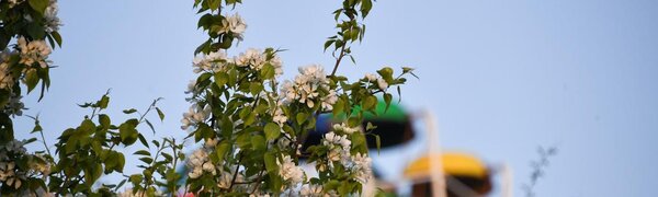 Во вторник воздух во Владивостоке прогреется до +23 °С