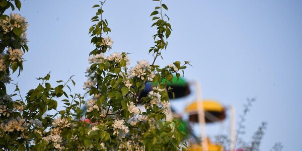 Во вторник воздух во Владивостоке прогреется до +23 °С