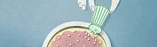 «Не сыпь мне соль…» - социальный проект