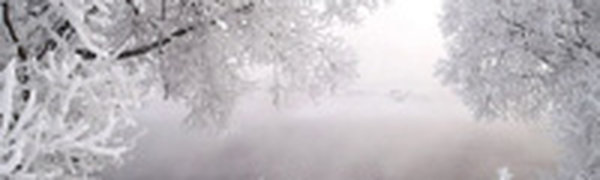 Всемирный форум снега в Новосибирске соберет около 500 специалистов