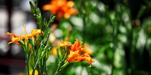 Грозы и жара до +34 °C ждут Приморье во вторник