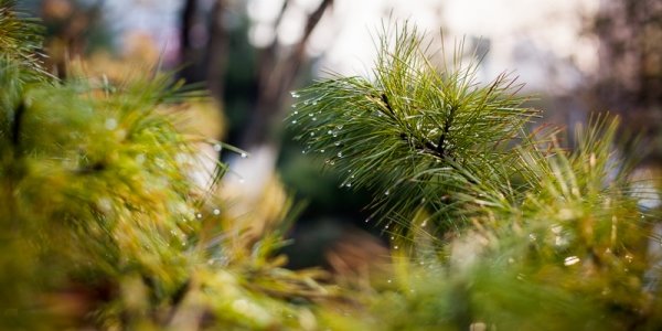 На побережье Приморья похолодало