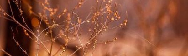 Погодные приметы: каким будет февраль?