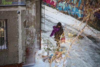 Синоптики подготовили подробный прогноз погоды на рабочую неделю в Приморье