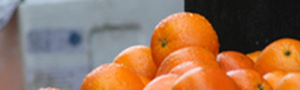 Прошедшей ночью облачный массив накрыл Приморье от юга до севера