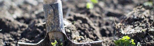 Внимание! В Лесозаводском районе верхний слой почвы переувлажнен